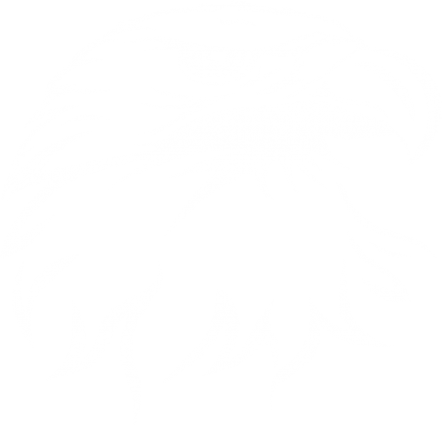 White Eagle Wellness